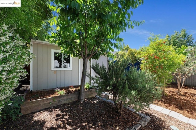 view of yard featuring a storage shed