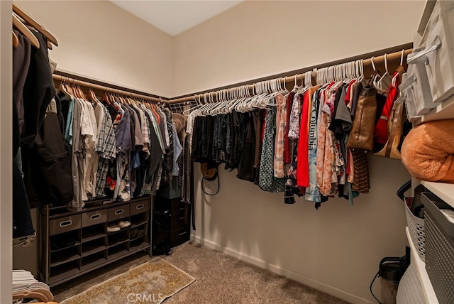 spacious closet with carpet flooring