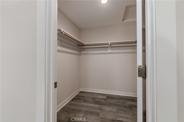 spacious closet featuring dark wood-type flooring