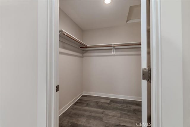 walk in closet featuring dark hardwood / wood-style flooring