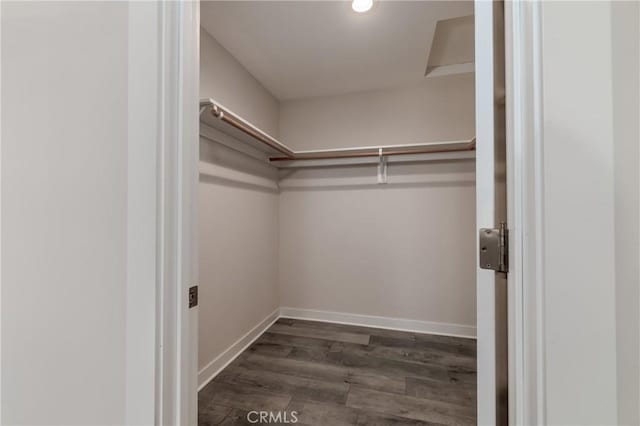 walk in closet with wood finished floors