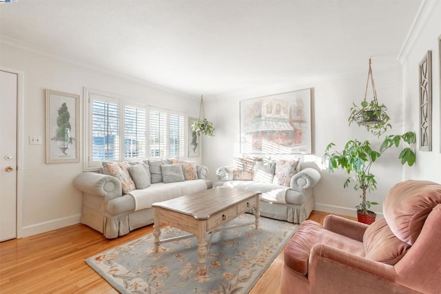 living room featuring ornamental molding and light hardwood / wood-style floors