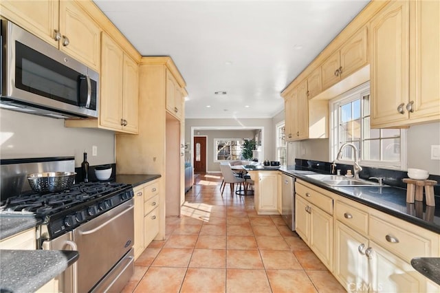 kitchen with dark countertops, a healthy amount of sunlight, stainless steel appliances, and a sink