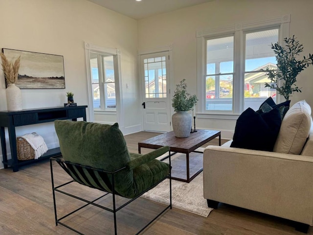 living room featuring hardwood / wood-style flooring