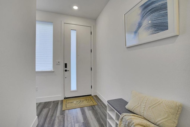 foyer entrance with hardwood / wood-style flooring