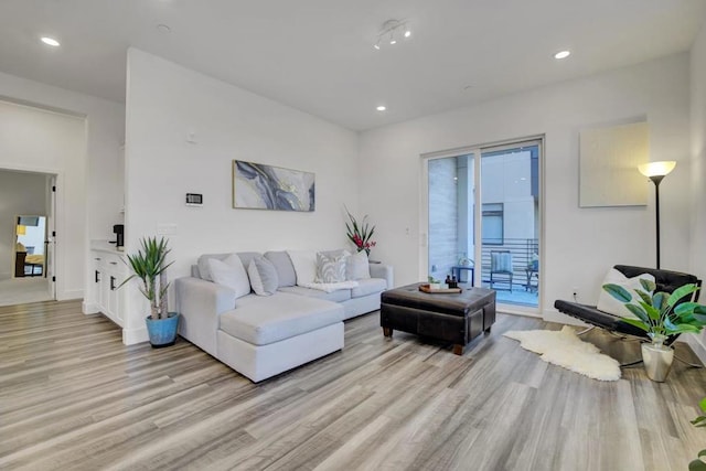 living room with light wood-type flooring