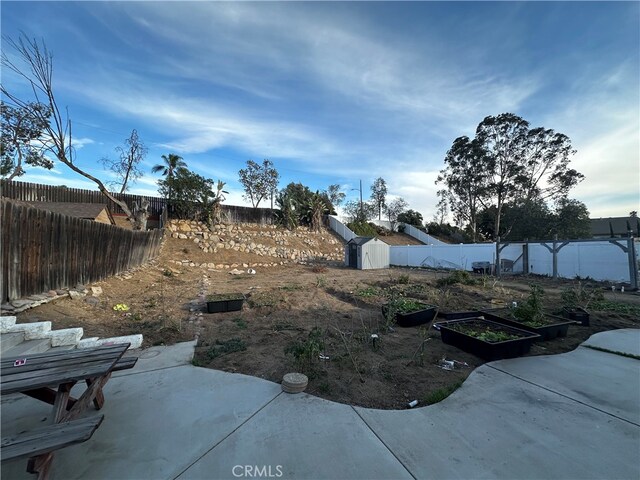 view of yard featuring a patio area and a shed