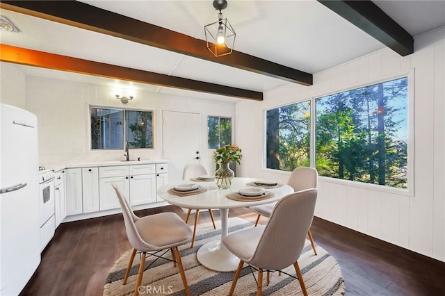 dining room featuring sink, dark hardwood / wood-style flooring, and beam ceiling