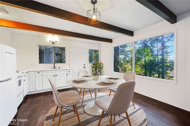 dining area with sink, dark hardwood / wood-style flooring, and beam ceiling