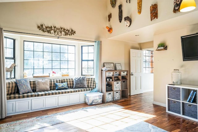 living room featuring dark hardwood / wood-style floors