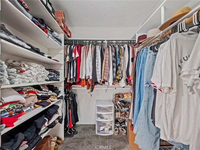 20276 Waco Rd, Apple Valley, CA 92308 - spacious closet featuring carpet floors