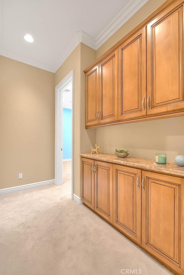 interior space with light carpet and crown molding