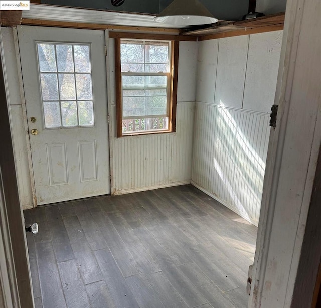 doorway featuring a wealth of natural light and dark hardwood / wood-style flooring