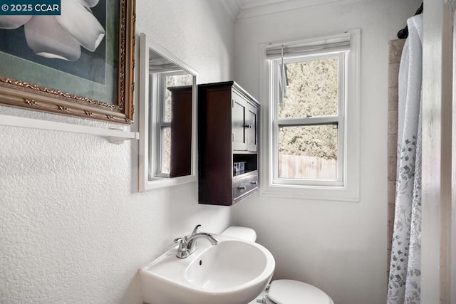 bathroom with sink, a shower with shower curtain, ornamental molding, and toilet