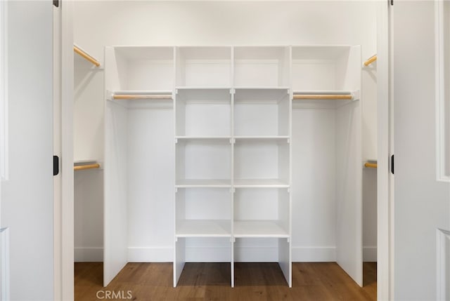 spacious closet featuring wood-type flooring