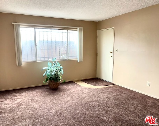 spare room featuring plenty of natural light, carpet, and a textured ceiling