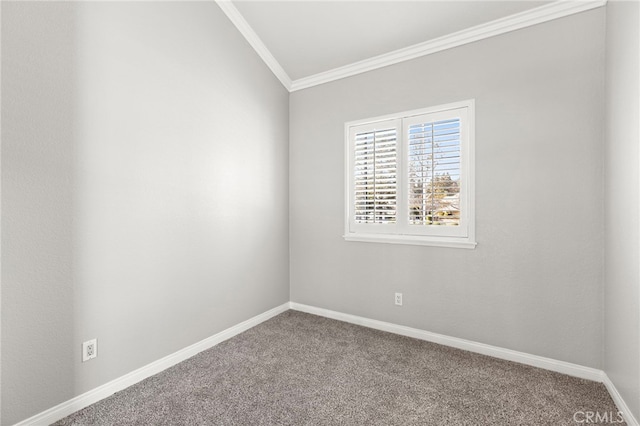 carpeted empty room featuring crown molding