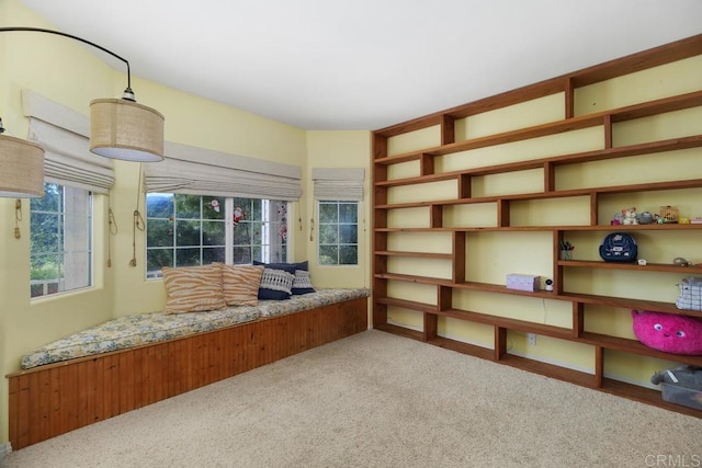 sitting room featuring light carpet