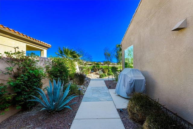 view of yard featuring a patio area