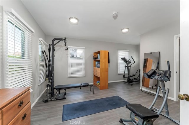 exercise room with hardwood / wood-style flooring