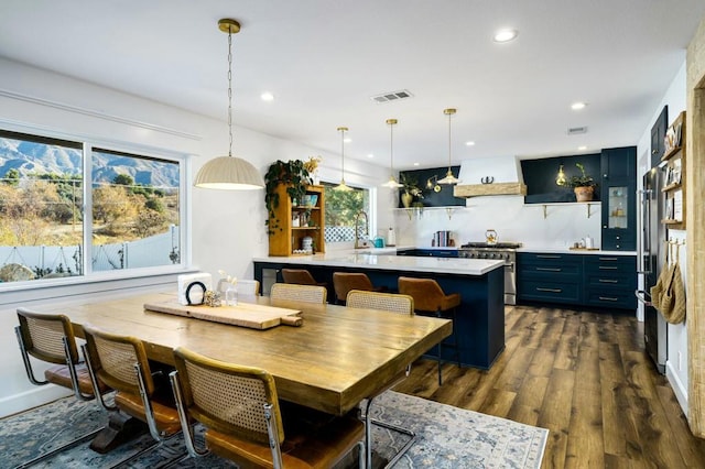 dining area featuring sink, a wealth of natural light, and dark hardwood / wood-style floors