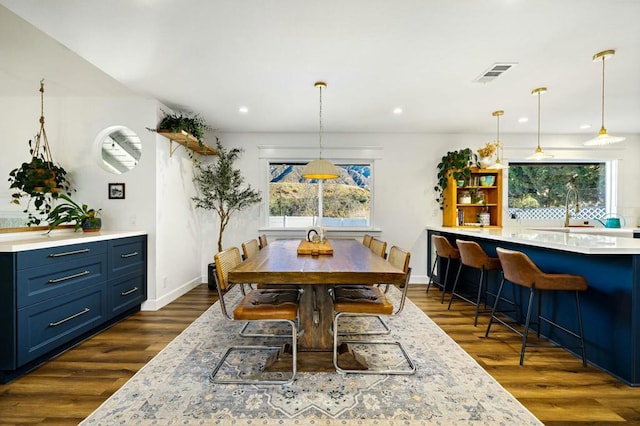 dining space with sink, a healthy amount of sunlight, and dark wood-type flooring