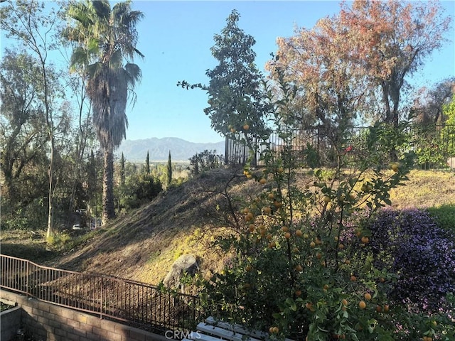 1911 E Calico Dr, West Covina, CA 91791 - view of mountain background