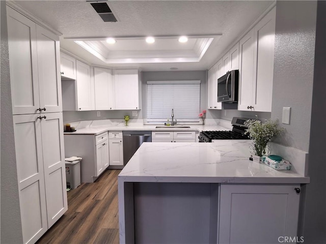 kitchen with stainless steel appliances, white cabinets, a tray ceiling, and kitchen peninsula