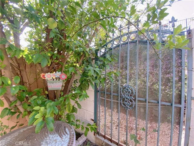 1911 E Calico Dr, West Covina, CA 91791 - view of gate