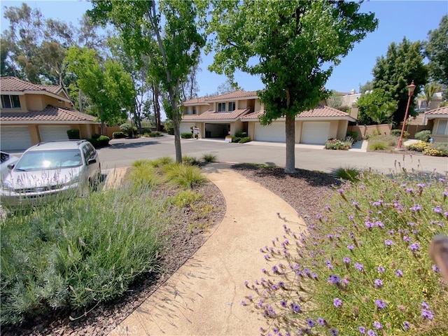 1911 E Calico Dr, West Covina, CA 91791 - view of yard with driveway