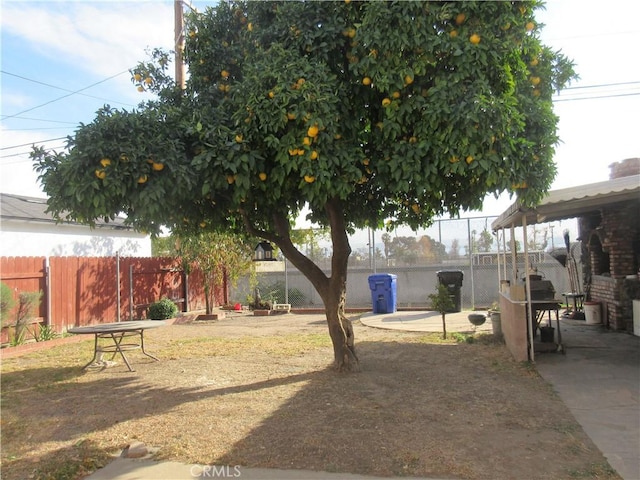 view of yard with a patio