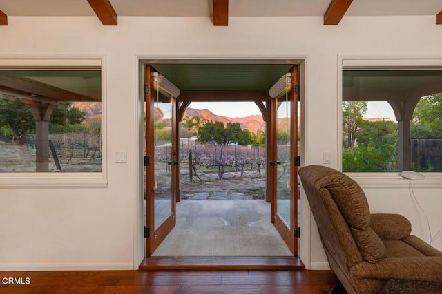 doorway to outside with french doors, dark hardwood / wood-style floors, plenty of natural light, and beam ceiling