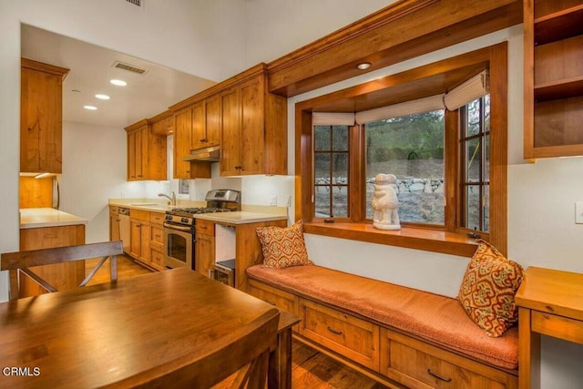 kitchen featuring sink, gas range, and dark hardwood / wood-style floors