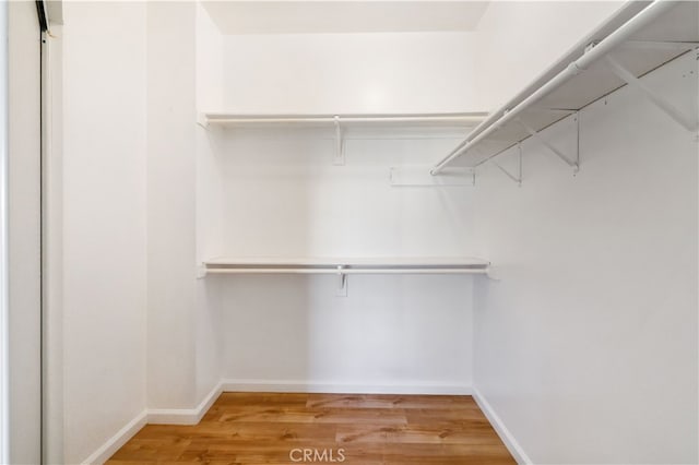 walk in closet with light wood-type flooring