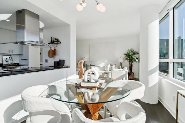 dining room with dark wood-type flooring