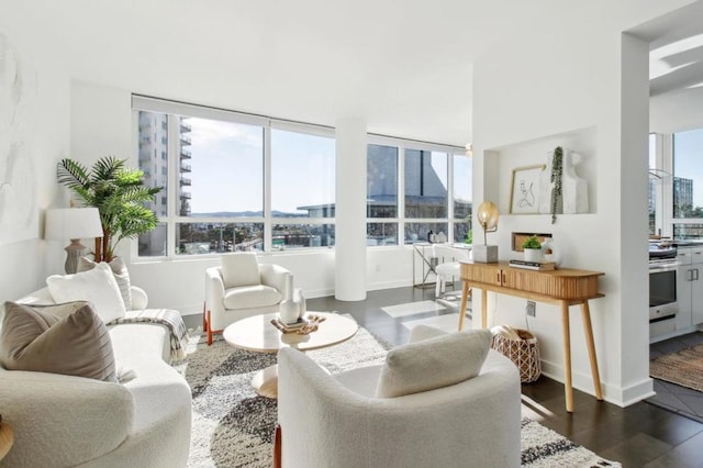 living room featuring plenty of natural light and dark hardwood / wood-style floors