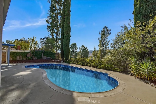 view of swimming pool featuring a patio