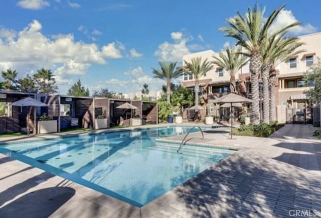 view of pool with a patio area