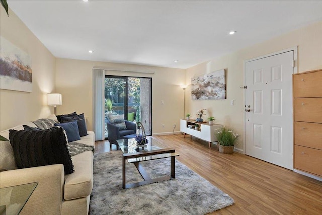 living room with wood-type flooring