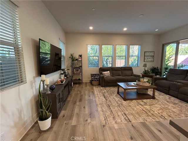 living room featuring light hardwood / wood-style flooring