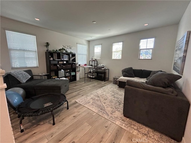 living room with light hardwood / wood-style flooring