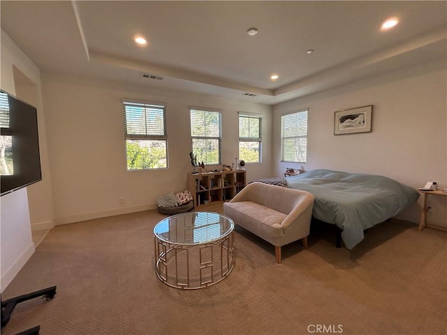 bedroom featuring a raised ceiling and carpet flooring