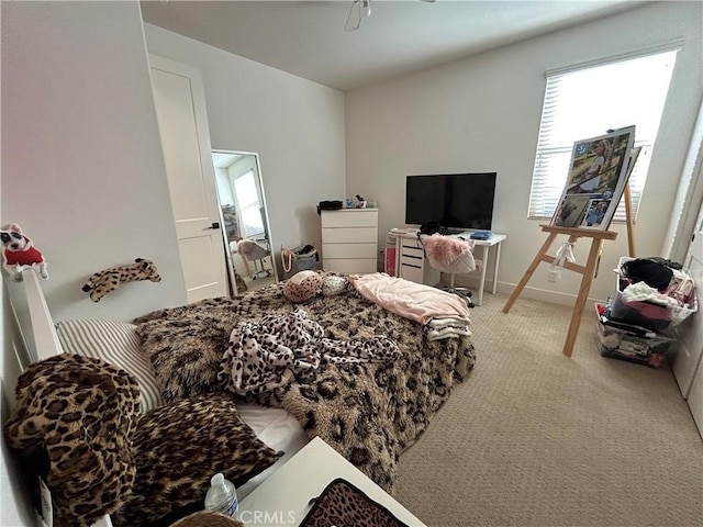 carpeted bedroom with multiple windows