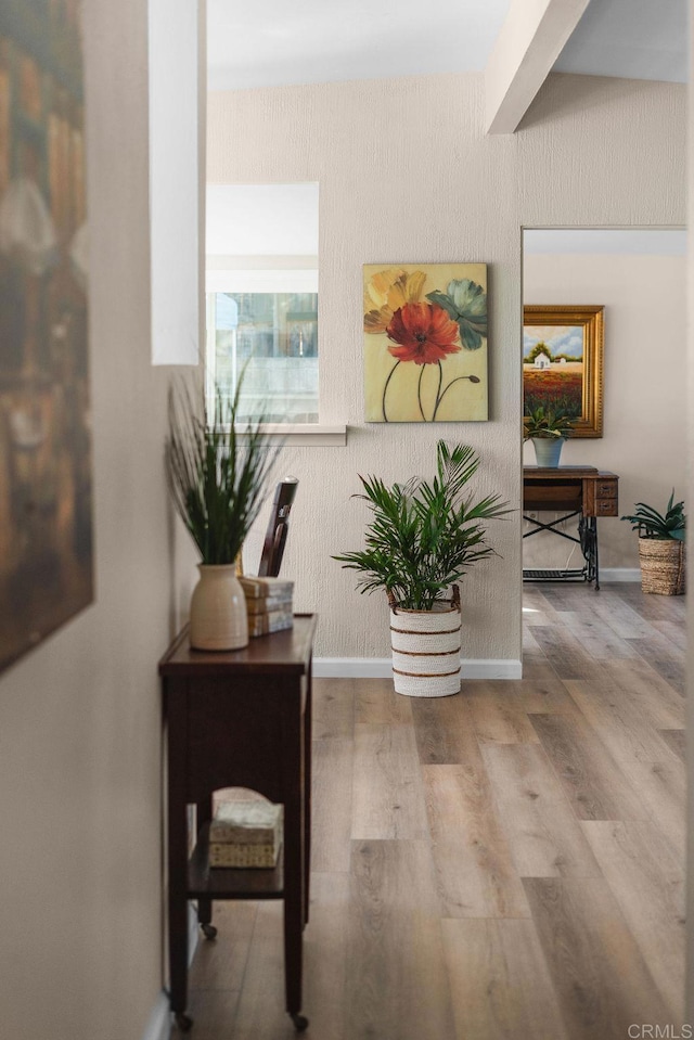 hall with hardwood / wood-style flooring