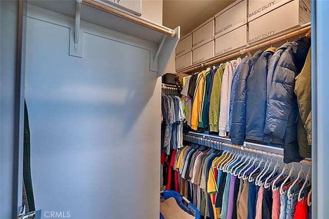 view of spacious closet