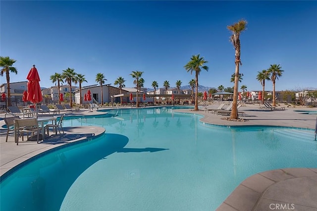 view of pool featuring a patio