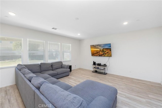 living room featuring a healthy amount of sunlight and light hardwood / wood-style flooring