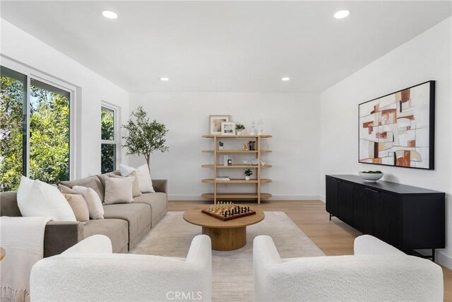 living room featuring light hardwood / wood-style flooring