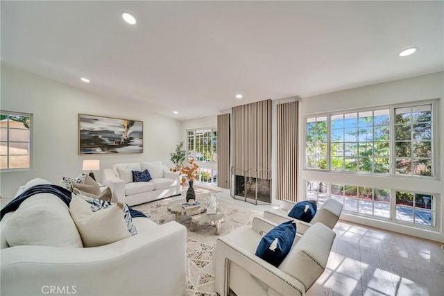 living room featuring light hardwood / wood-style floors