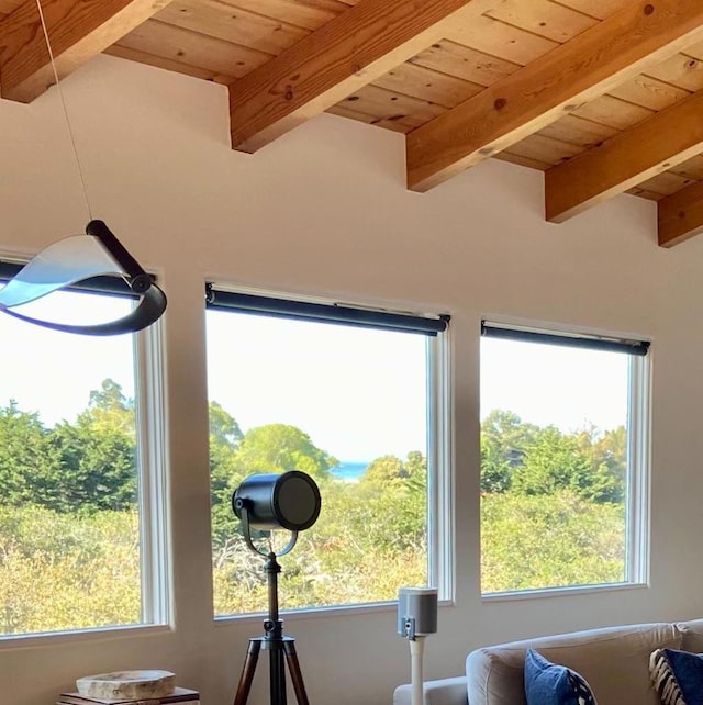 room details with wood ceiling and beam ceiling